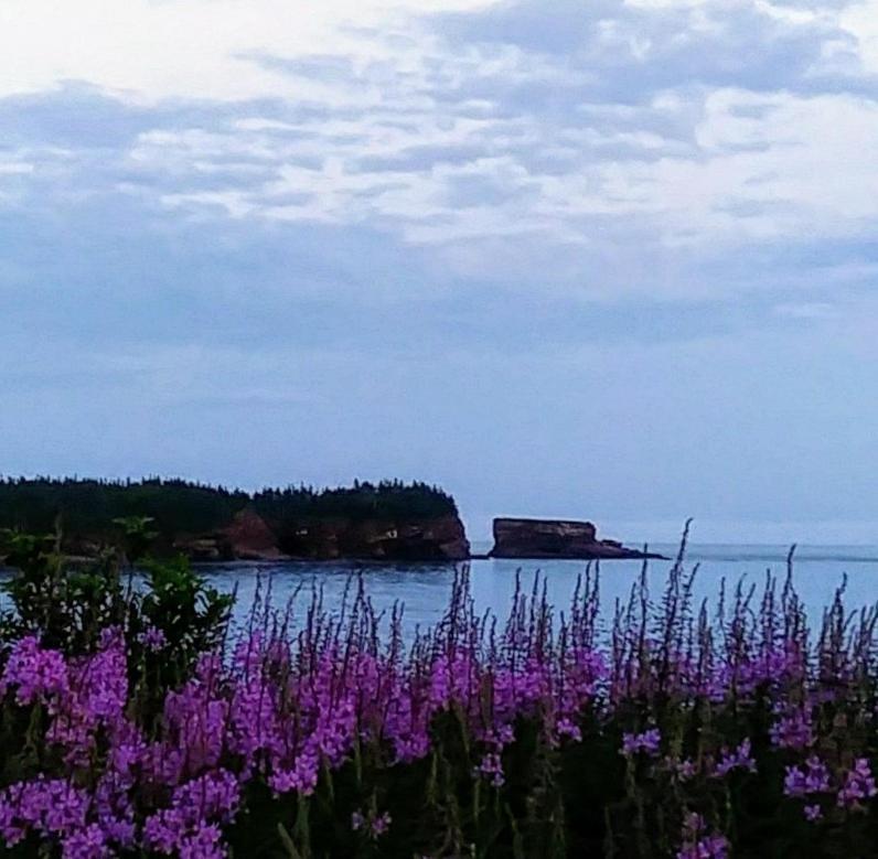 Moore'S Specialties Fundy Bay House Rental Gardner Creek Buitenkant foto