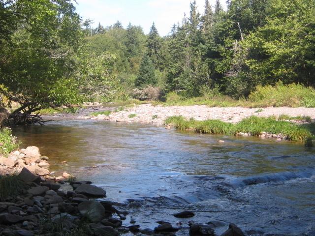Moore'S Specialties Fundy Bay House Rental Gardner Creek Buitenkant foto