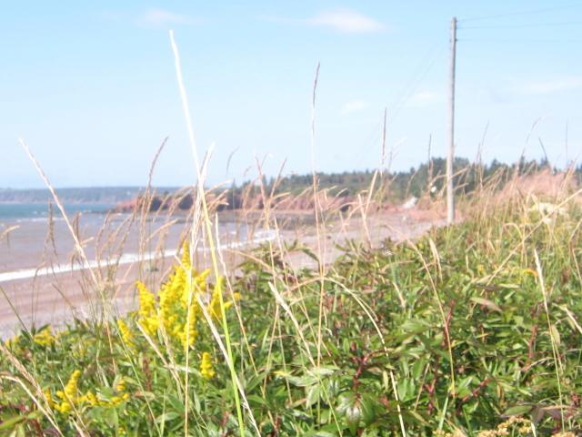 Moore'S Specialties Fundy Bay House Rental Gardner Creek Buitenkant foto