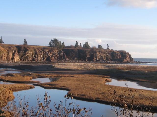 Moore'S Specialties Fundy Bay House Rental Gardner Creek Buitenkant foto