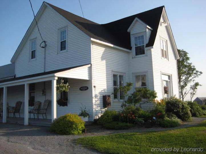 Moore'S Specialties Fundy Bay House Rental Gardner Creek Buitenkant foto