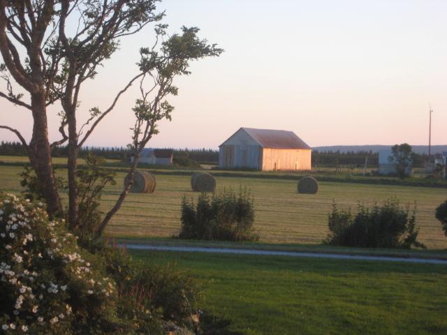 Moore'S Specialties Fundy Bay House Rental Gardner Creek Buitenkant foto