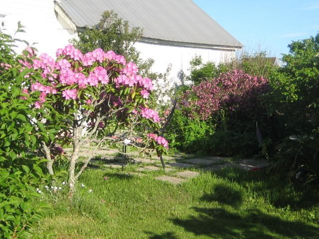 Moore'S Specialties Fundy Bay House Rental Gardner Creek Buitenkant foto