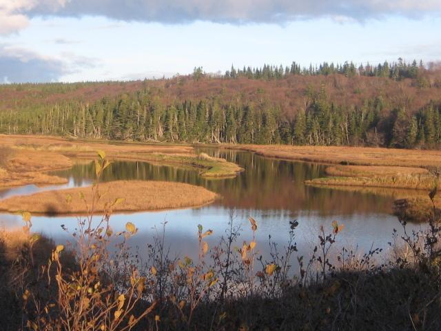 Moore'S Specialties Fundy Bay House Rental Gardner Creek Buitenkant foto
