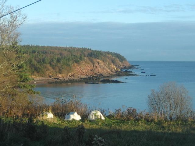 Moore'S Specialties Fundy Bay House Rental Gardner Creek Buitenkant foto