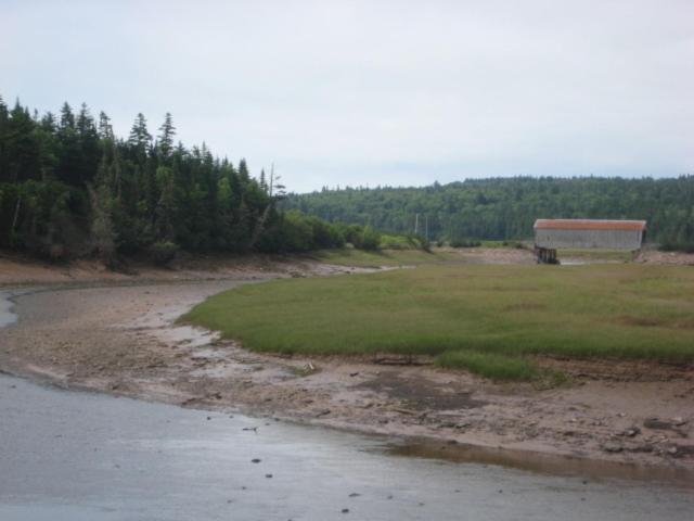 Moore'S Specialties Fundy Bay House Rental Gardner Creek Buitenkant foto